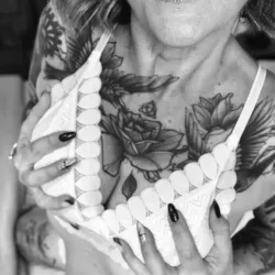 Média similaire de Mayduse