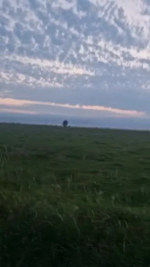 Photo de Moana59450 - MYM