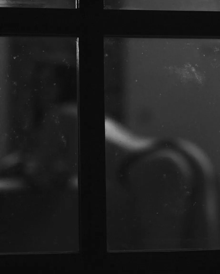 Photo de Mymerial-c - MYM