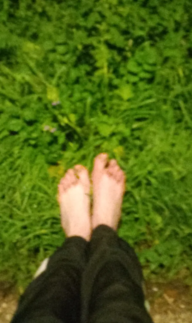 Photo de Mymsa - MYM