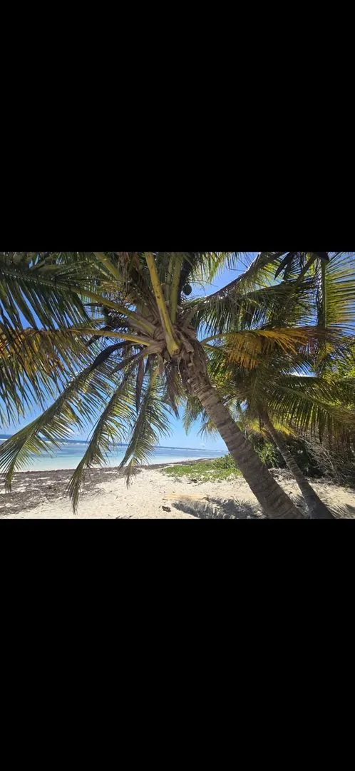 Bannière du profil de Naiade