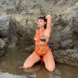 Média similaire de Neferti_