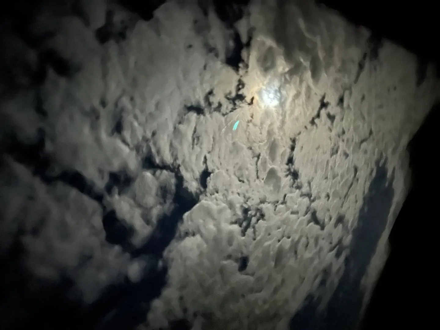 Bannière du profil de Nounette_18