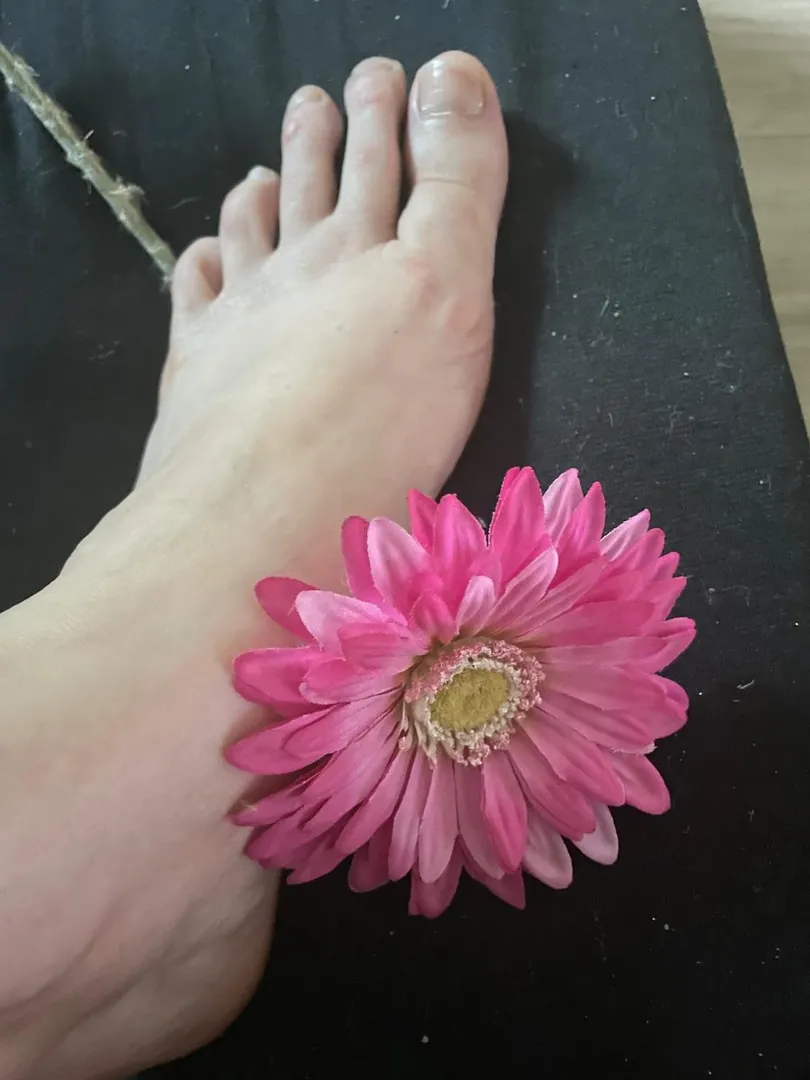 Photo de Persephone_ - MYM