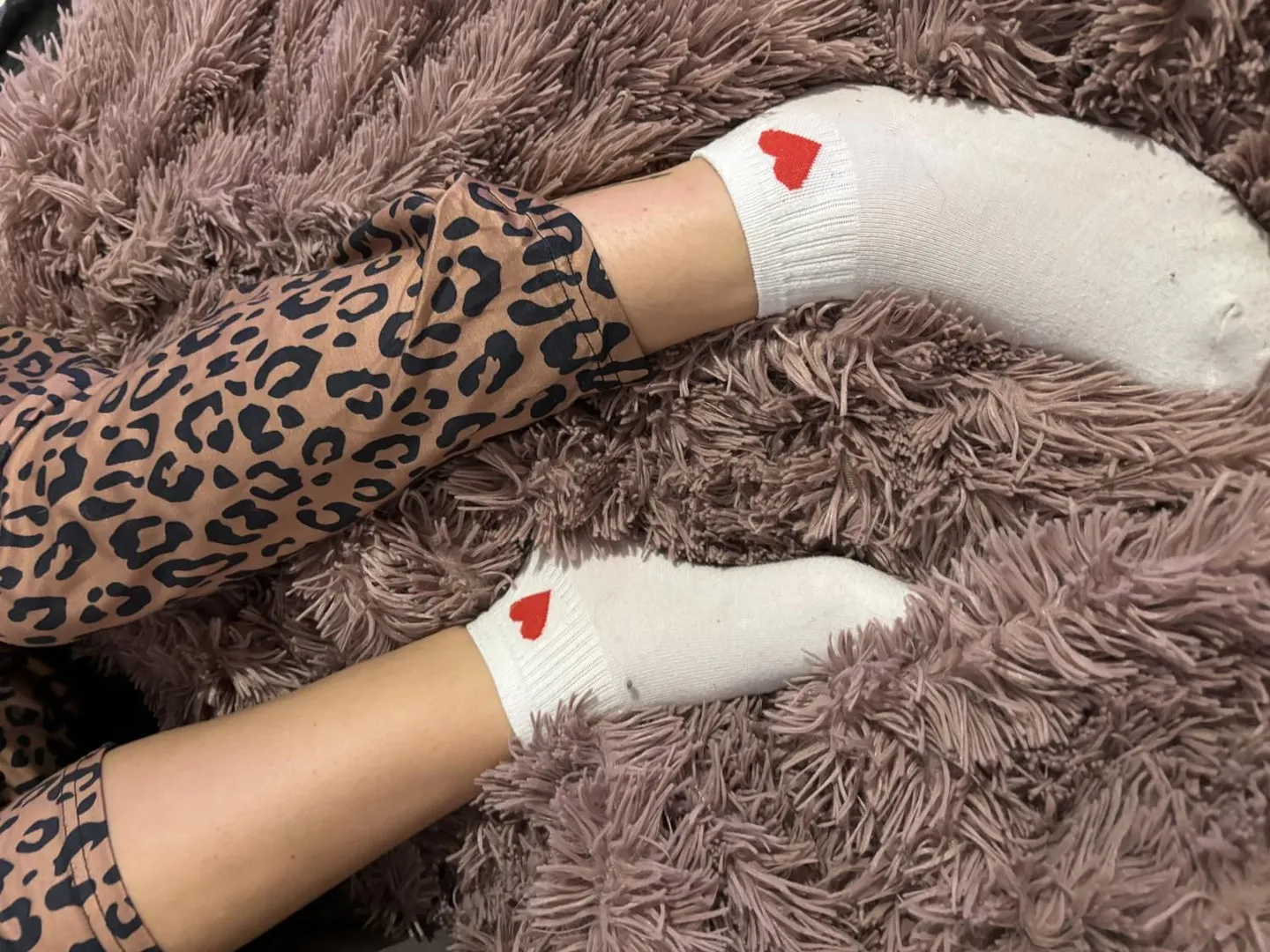 Bannière du profil de Petitetulipe