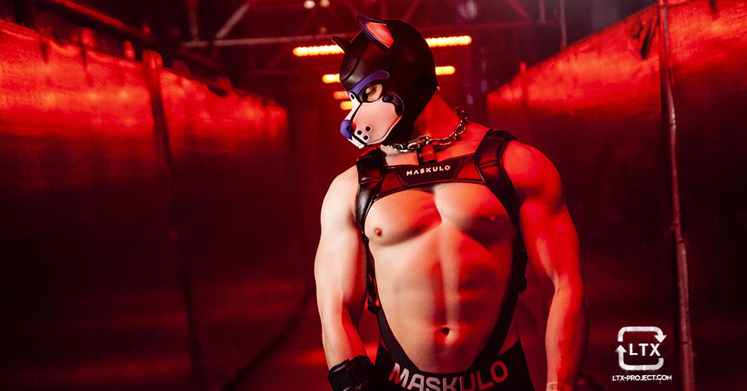 @Pupbuday Header