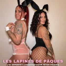 Média similaire de Queenaria