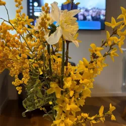 Média similaire de Sandrabelleelite