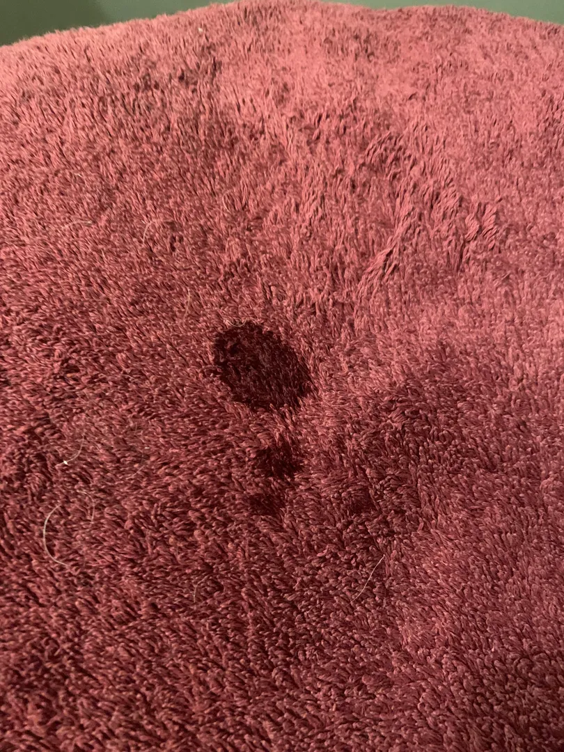 Photo de Sarapel22 - MYM