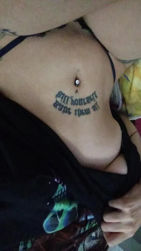 Photo de Saule - MYM