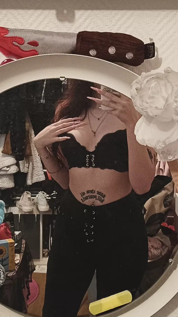 Photo de Saule - MYM