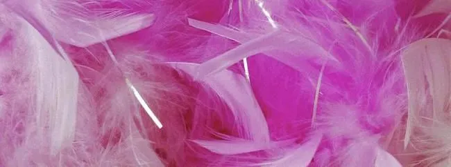 Bannière du profil de Sexxxy