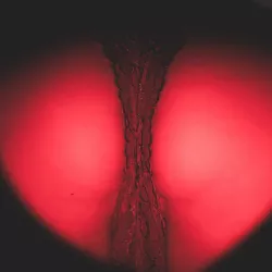 Photo de Sexydiane31