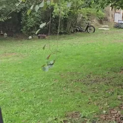 Photo de Sexymarghot