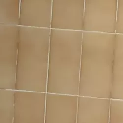 Vidéo de Sheraazade