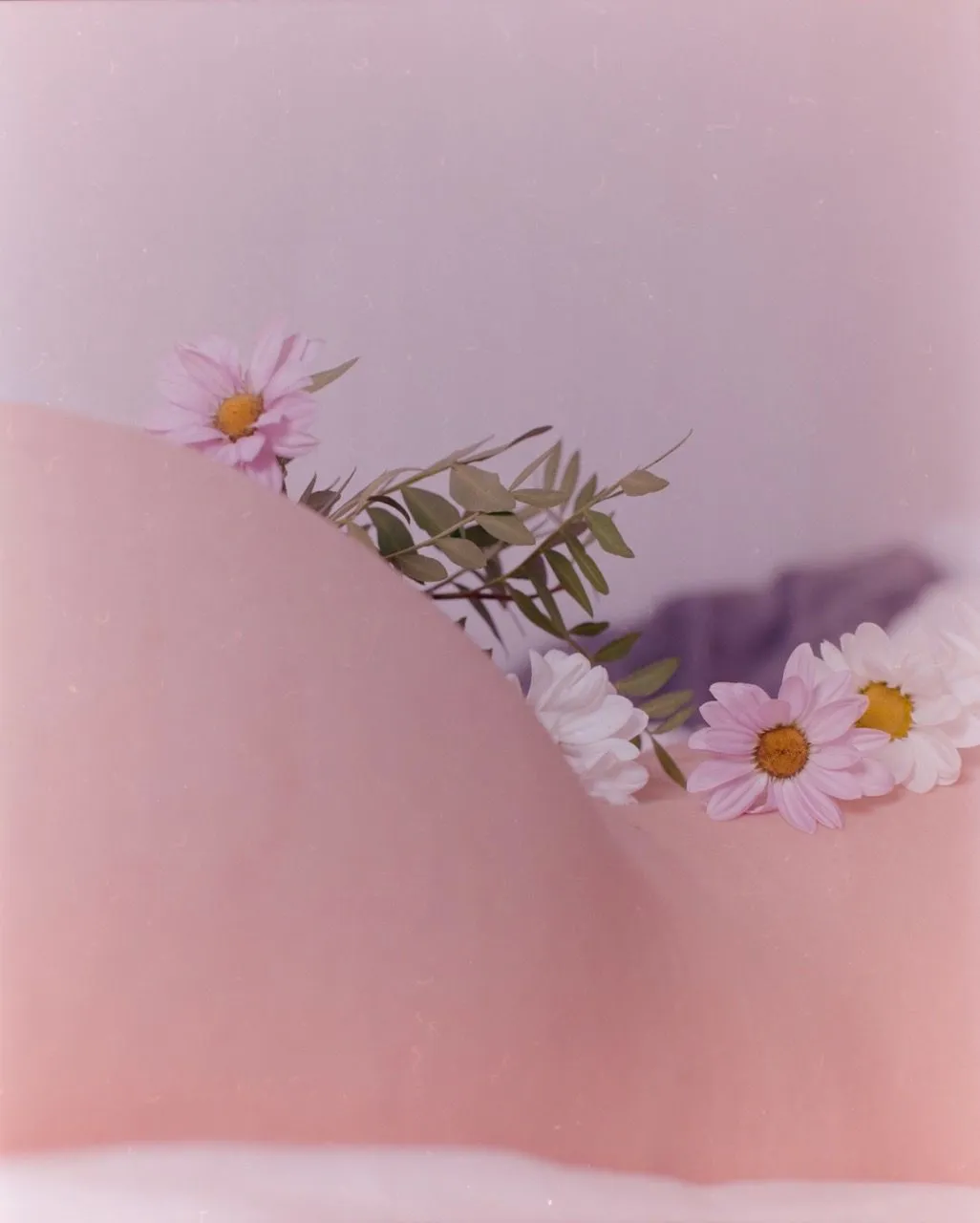 Photo de Shlea - MYM