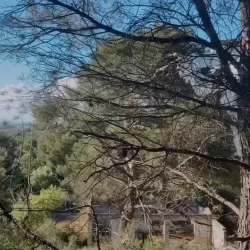 Vidéo similaire de Shlea