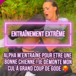 Photo de Soumiseelia