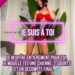 Photo de Soumiseelia