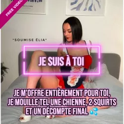 Photo de Soumiseelia