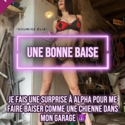 Photo de Soumiseelia