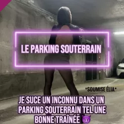 Photo de Soumiseelia