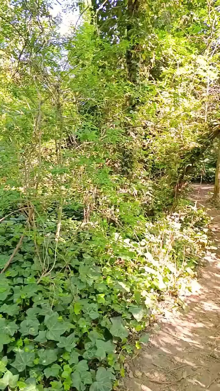 Photo de Tara_cherry - MYM