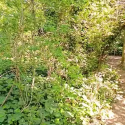 Photo de Tara_cherry