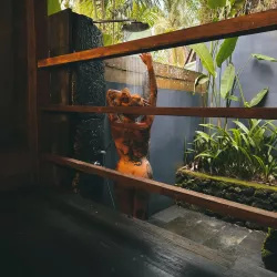 Photo de Tatjanavolks