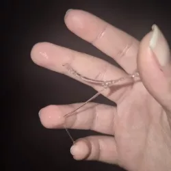 Photo de Thelittledevil38