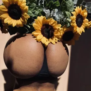 Photo de profil de Woony