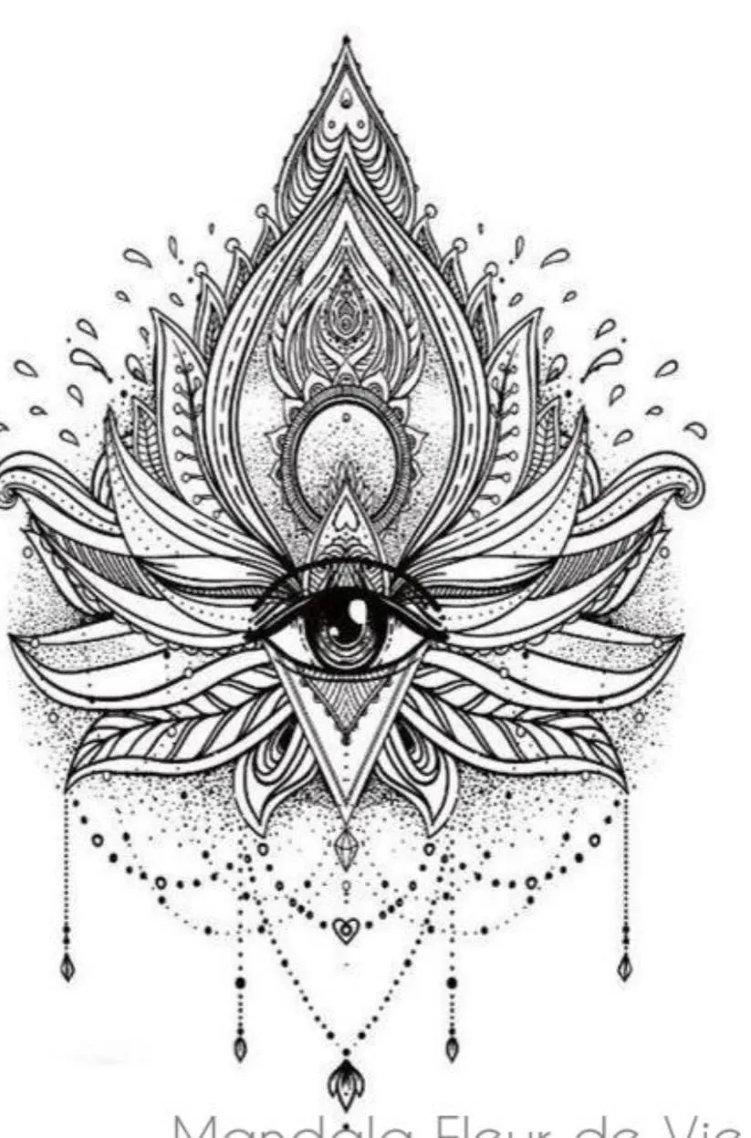 Bannière du profil de Tulipe66