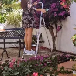 Violetdenier nude — vidéo porn leak MYM