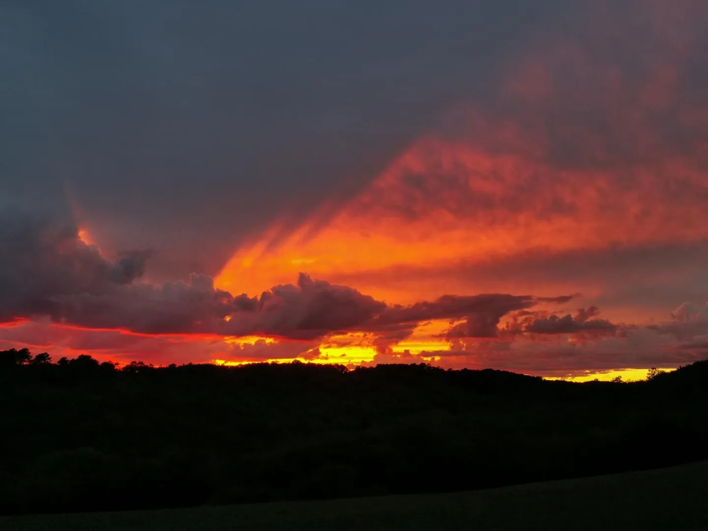 Bannière du profil de Zelly_vy